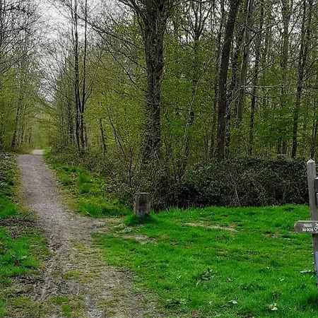 بيت للعطل Inclus Avec Jardin Clos, Terrasse Privative, Proche Foret Et Randonnees, 1 Chambre, 1 Canape-lit - Fr-1-510-168